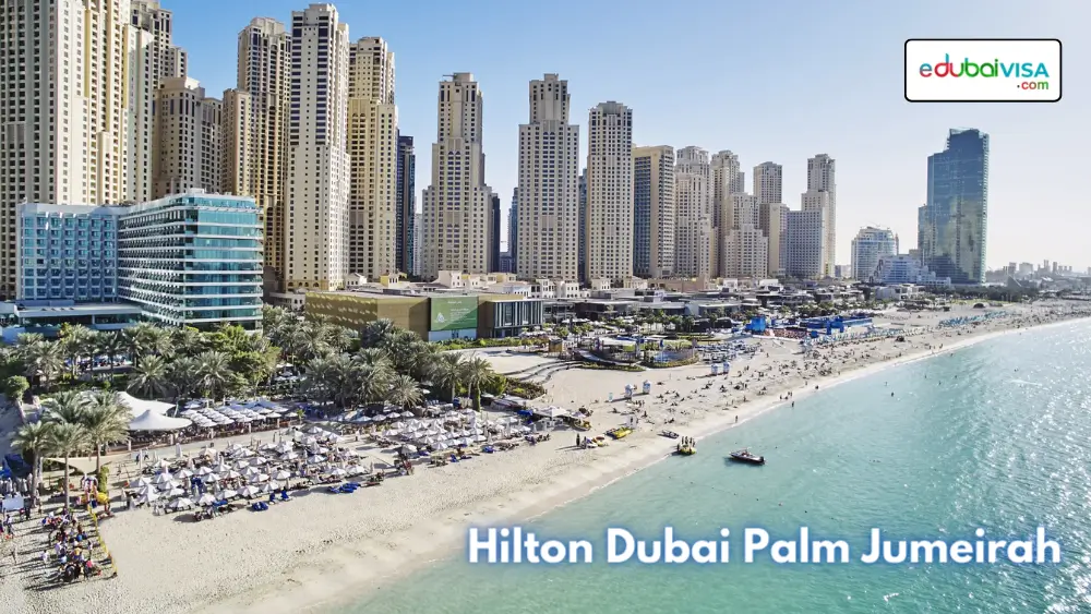 hilton dubai
